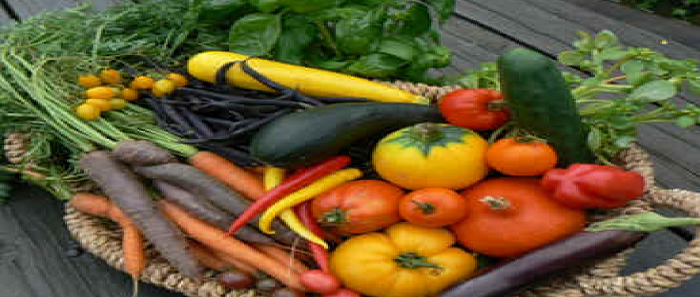 Légumes anciens