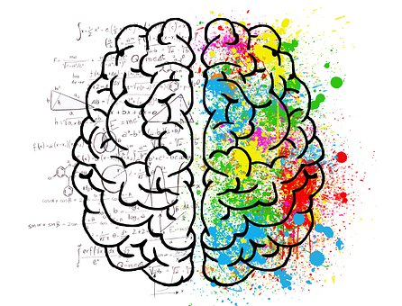 brain 2062057 340